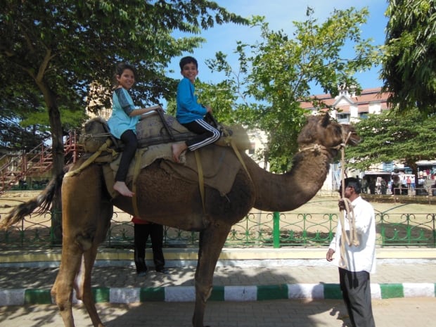 Mara and Sachin Tartamella