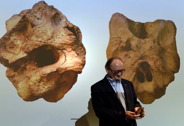 T rex Ancestor