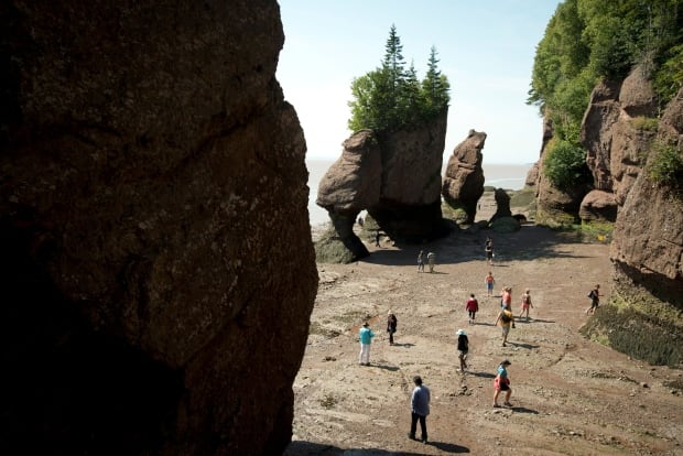 Hopewell Rocks Feature 20130816 TOPIX