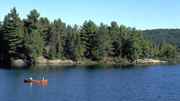 Toronto teen missing, presumed drowned on camping trip
