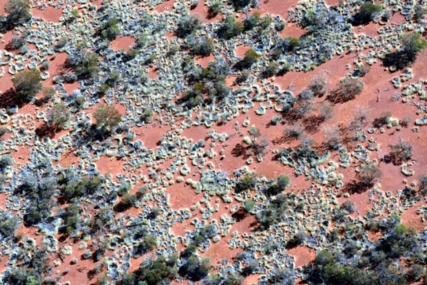 Fairy circles