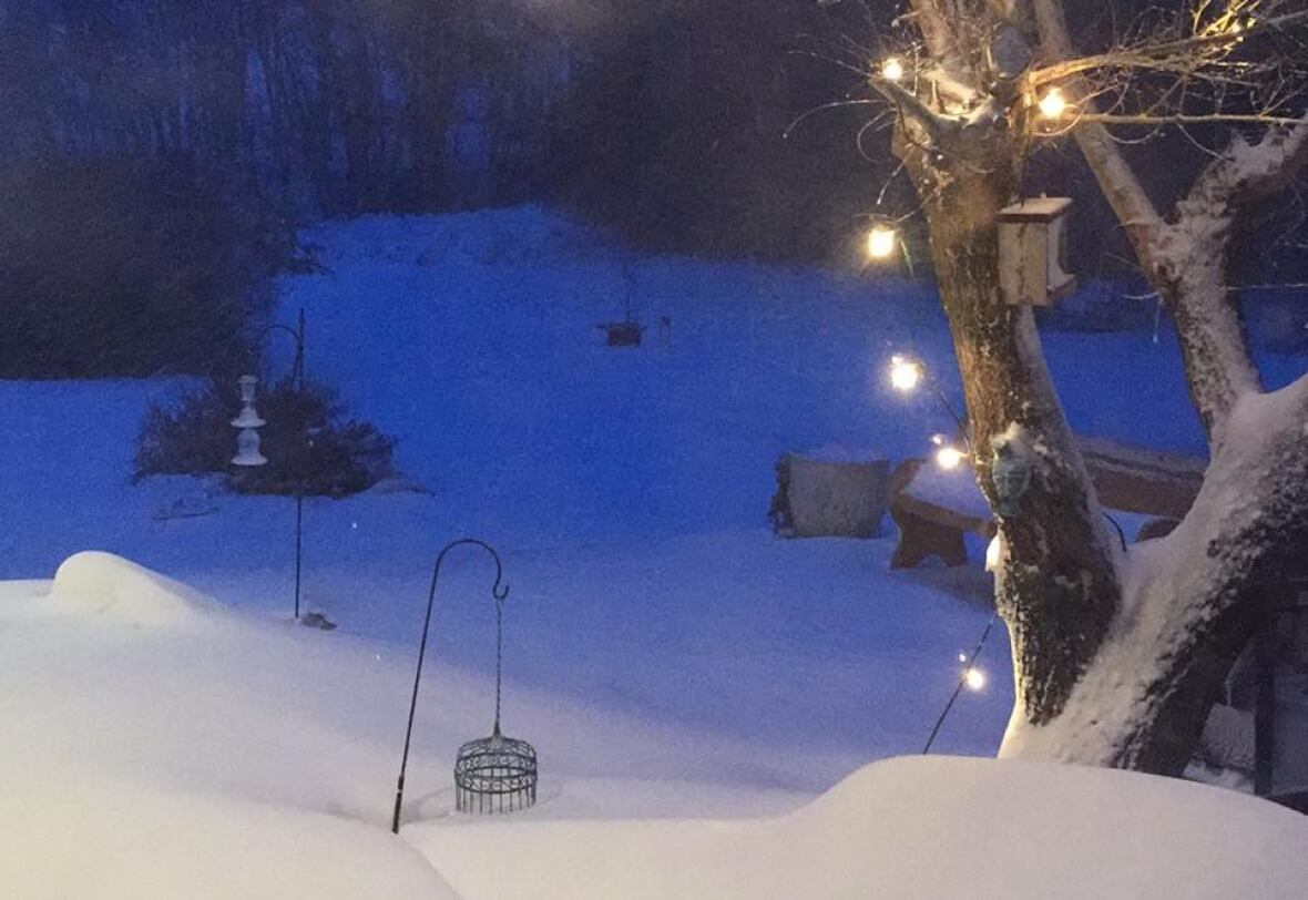 It's back photos of snow across Saskatchewan CBC News