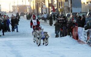 Iditarod Sled Dog Race