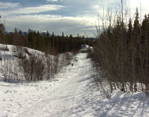 Whitehorse trail