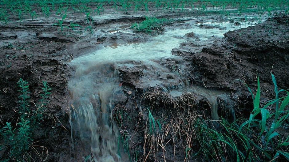 Runoff from a farm field in Iowa during a rain storm