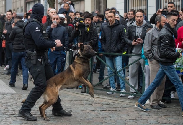 BELGIUM TERRORIST RAID POLICE DOG