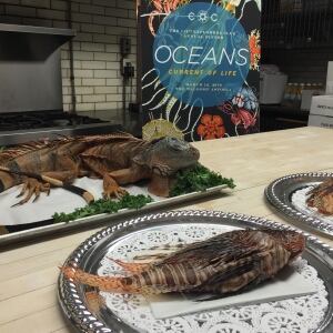 Explorers Club - invasive species
