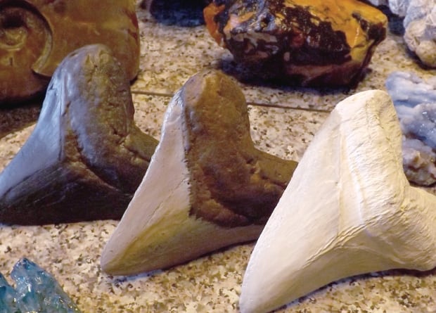 gem museum collection