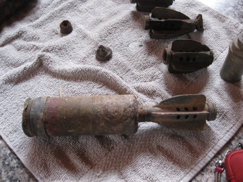 Unexploded mortar shells discovered in St. blueberry field CBC