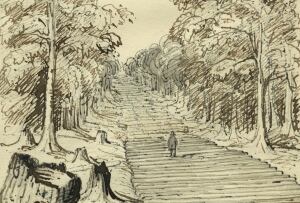 historic-corduroy-road