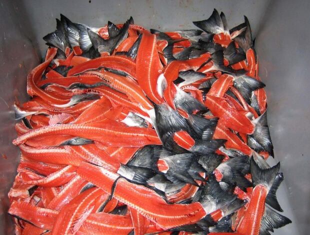 Food and Farm Fish Waste