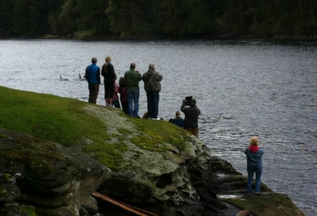 Whale watchers