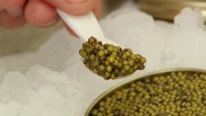 Breviro Caviar