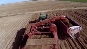 si-potato-field