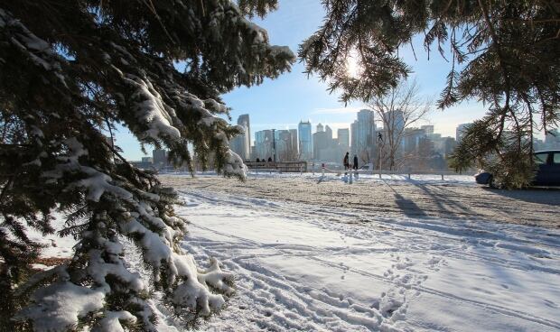 Crescent Heights Road Promenade
