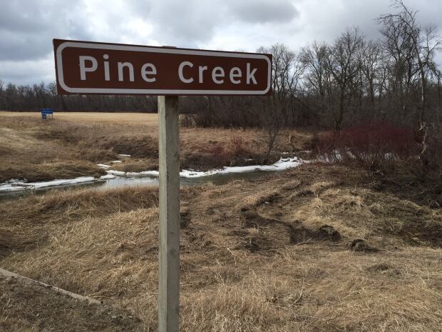 Pine Creek, Chase Martens