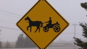 Amish sign in Montague area