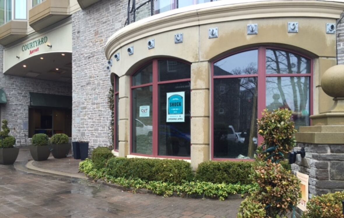 Halifax's Shuck raw bar capitalizes on growing oyster appetite CBC News