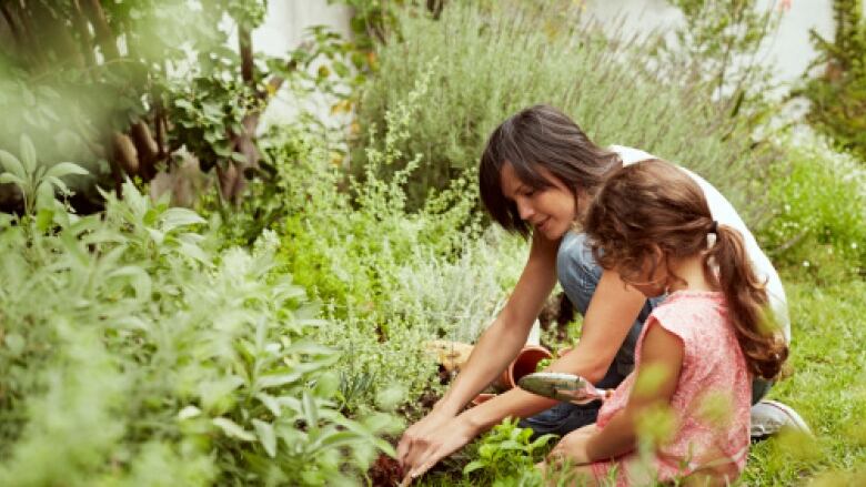 Spring And Summer Gardening Tips From Ubc Horticulturist Egan Davis Gardening Expert Egan Davis Shares His Advice On Preparing One S Garden For Success This Coming Summer Getty Images