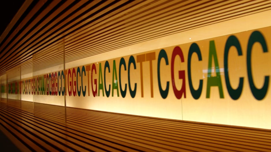 Storing our data in DNA may be a good way to get around digital storage problems like bit rot.