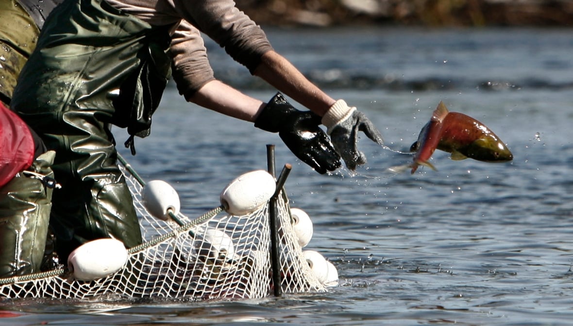 A person, from the waist down, is seen tossing a fish back into the water, next to a net.