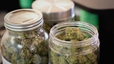 Pot shops