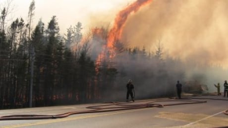 Firefighters fight forest fire on P.E.I.