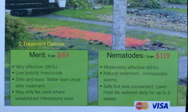 Cutting Edge Vancouver Merit chafer beetle flyer
