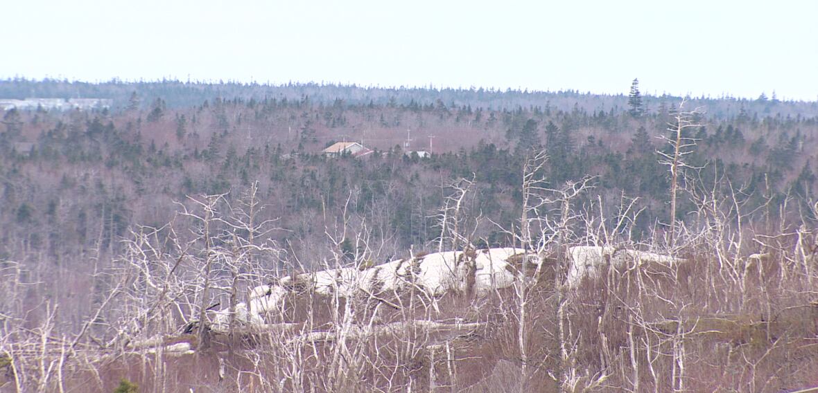 Fergusons Cove man remembers forest fire of April 2009 CBC News