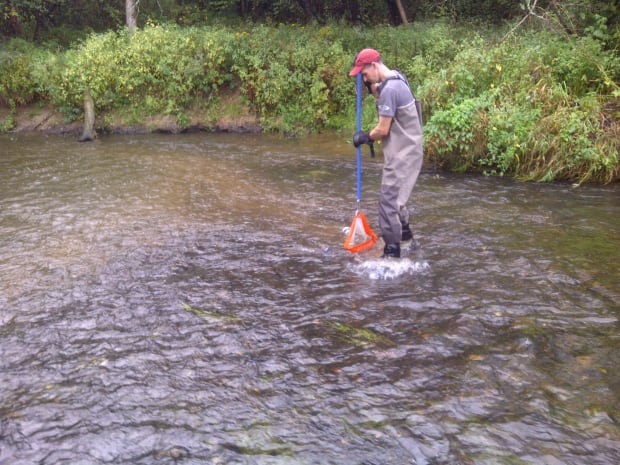 Environment Canada researchers