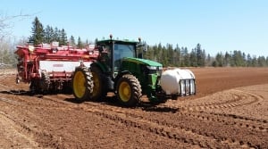 Potato planting in Belle River, P.E.i