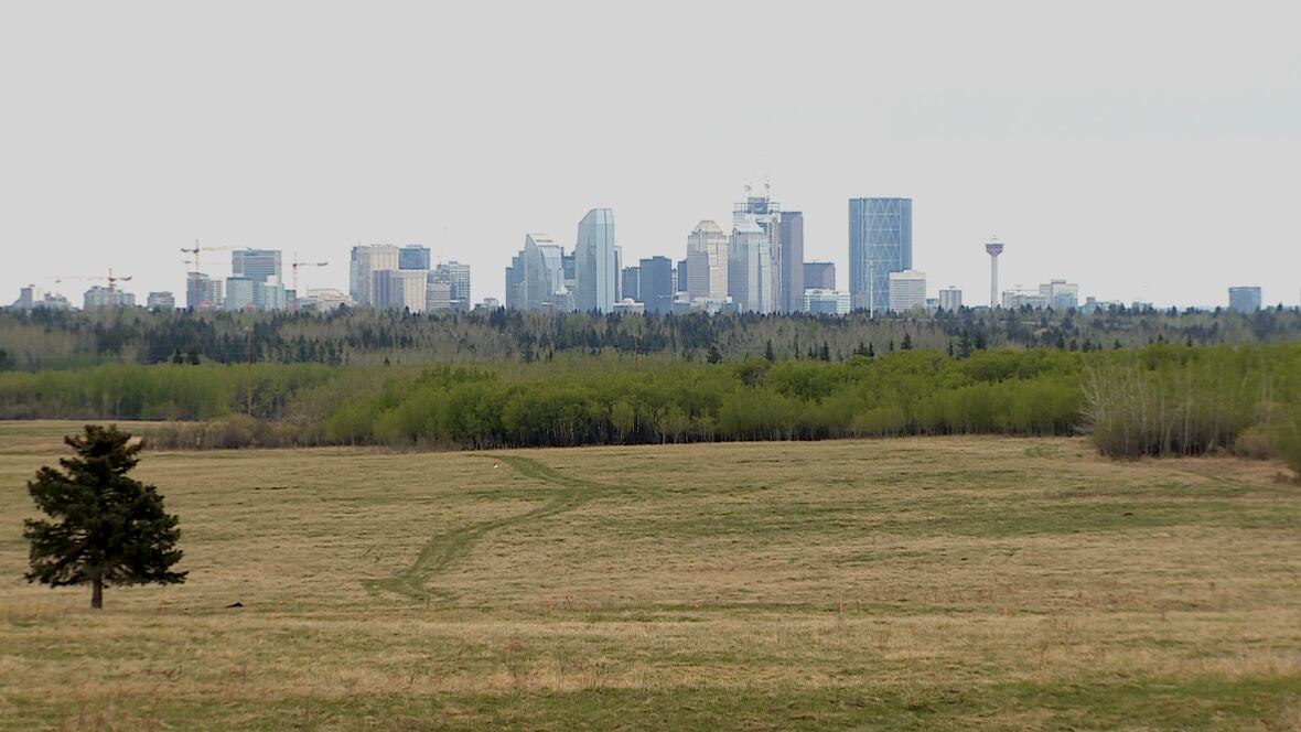 Southwest ring road site tour reveals stunning Calgary views Calgary