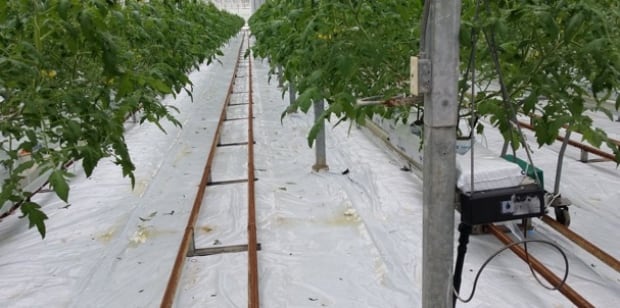 Greenhouse