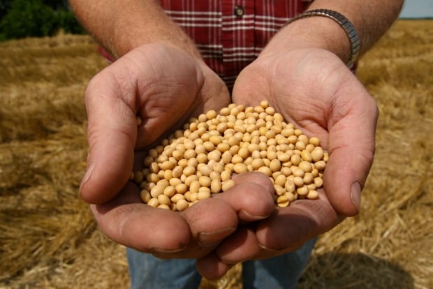 Earns Monsanto