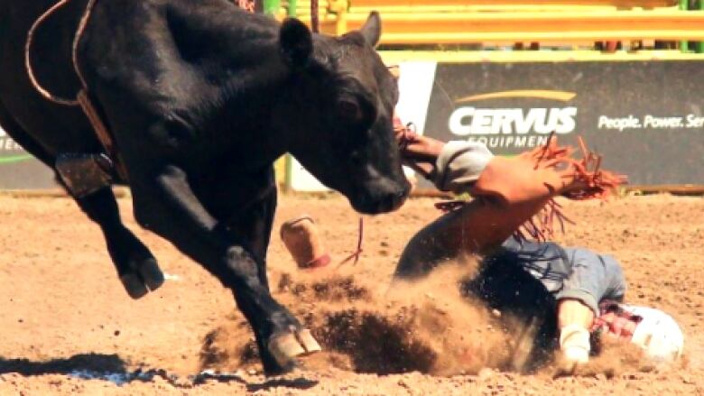 Alberta gay rodeo association galleries 998
