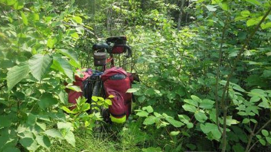 This section of the Trans Canada Trail near Nutimik, Man., was completely overgrown, says Aunger.