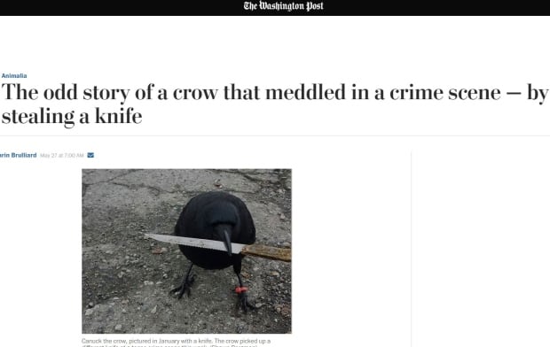 Washington Post