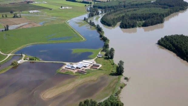Water levels to peak in Fraser River over the weekend Water levels to peak in Fraser River over the weekend