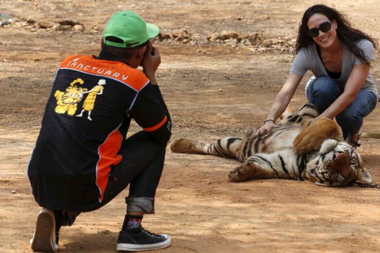 Thailand's Animal Tourism Under Scrutiny After Tiger Temple Raid