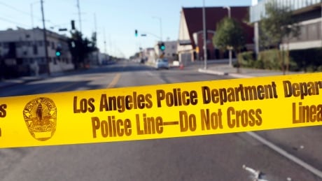 Los Angeles police found the body of Iana Kasian on May 26, but according to a statement from the Los Angeles County District Attorney's Office, it is possible she had been dead for some time. Police-Shots Fired