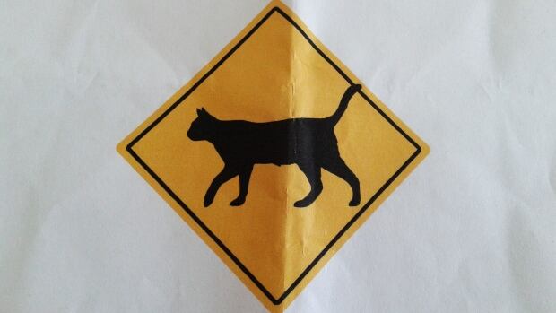 Reward offered for stolen cat crossing road sign | CBC News