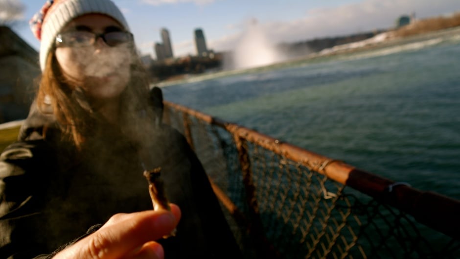 Susan Shapiro says that smoking pot is not just a fun and healthy thing.