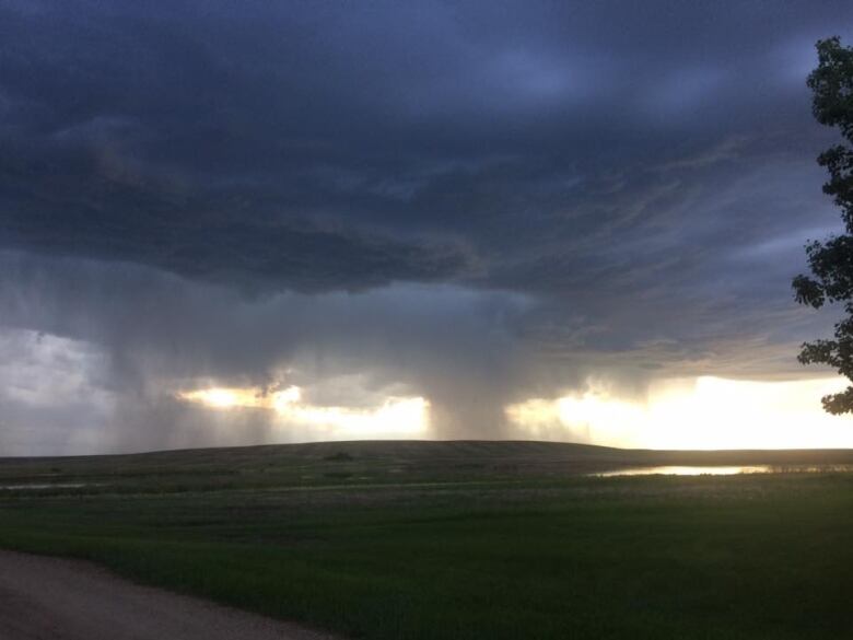 Your Guide To Surviving The Alberta Thunderstorm Watch - 8zifhu9