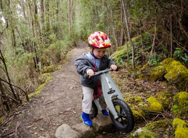 Boy on bike in Bert Flinn Park