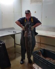 asian carp st. lawrence river