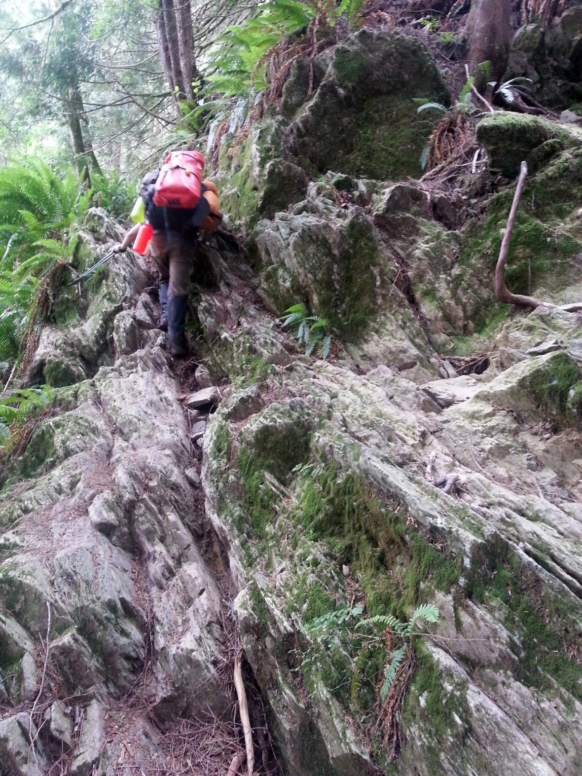 A man climbs a steep embankment