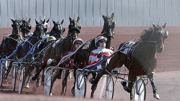 harness racing