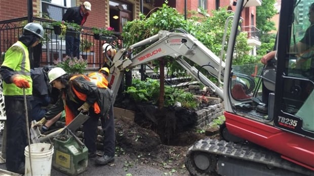 Lead pipe excavation