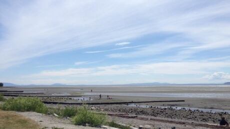 A summer day on Crescent Beach, in Surrey, B.C. Crescent Beach