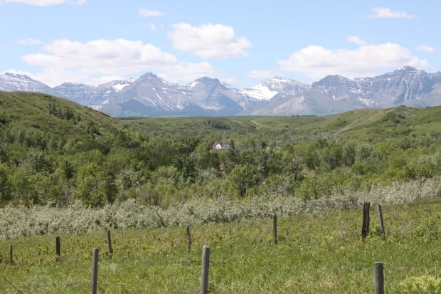 Bruder ranch in Twin Butte, Alberta
